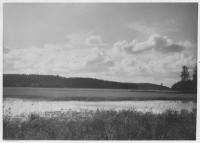 Starrmyr öster om Tingvalla station