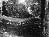 Skog, Sankt Olofs kapellruin
