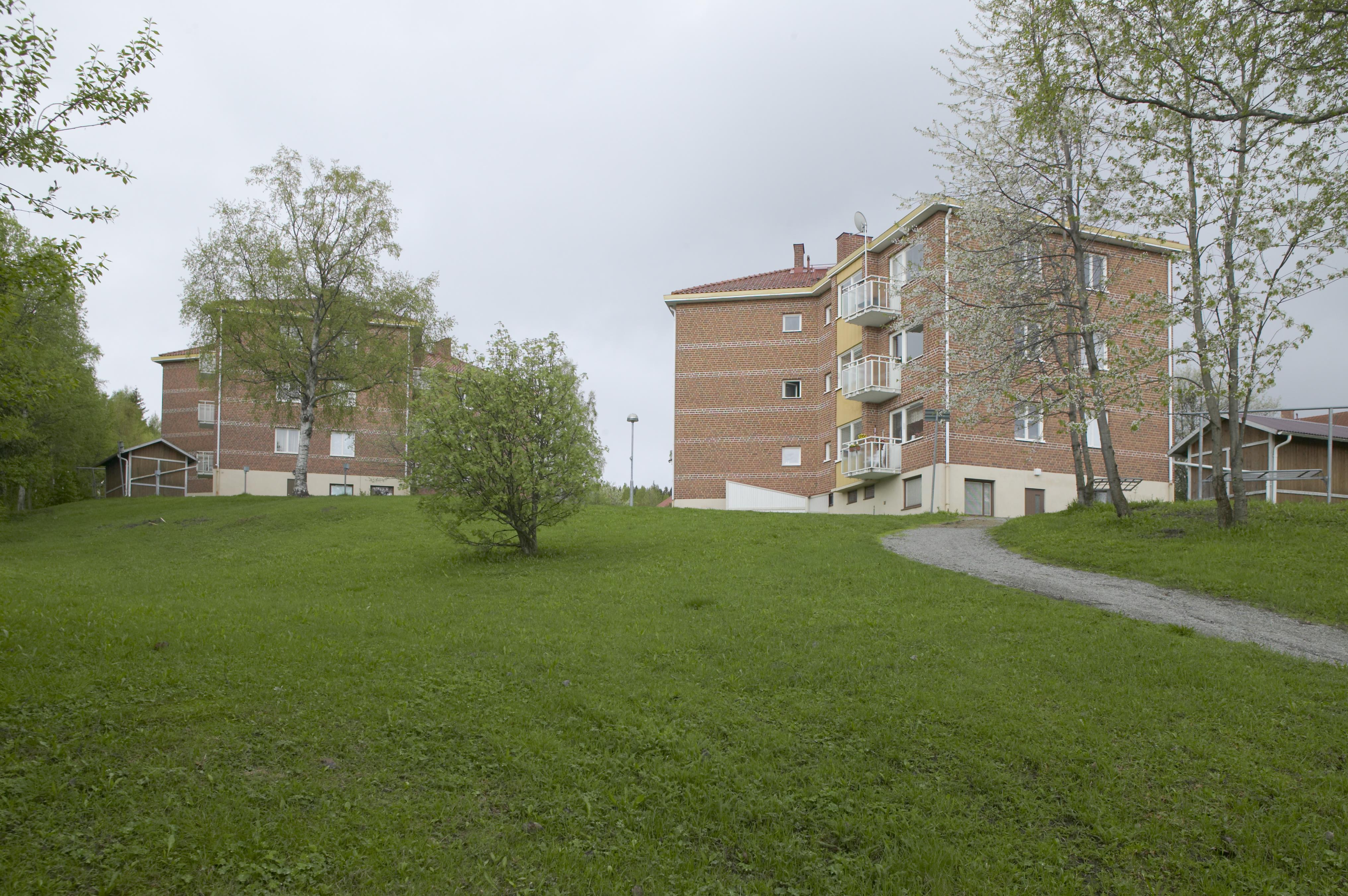 Bengt A Lundberg, Gullänget