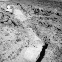 Stora Kils ödekyrkogård