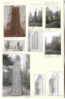 Skånelaholm. U 323.