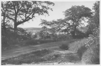 Landsvägen Göteborg-Alingsås