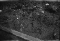 Alvastra pålbyggnad