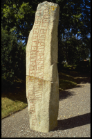 Image of Ög 64