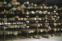 Dockestöttor vid skeppsdocka 1 i Karlskrona