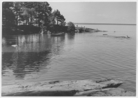 Vänern och Halleberg (Flygsandstopografi)