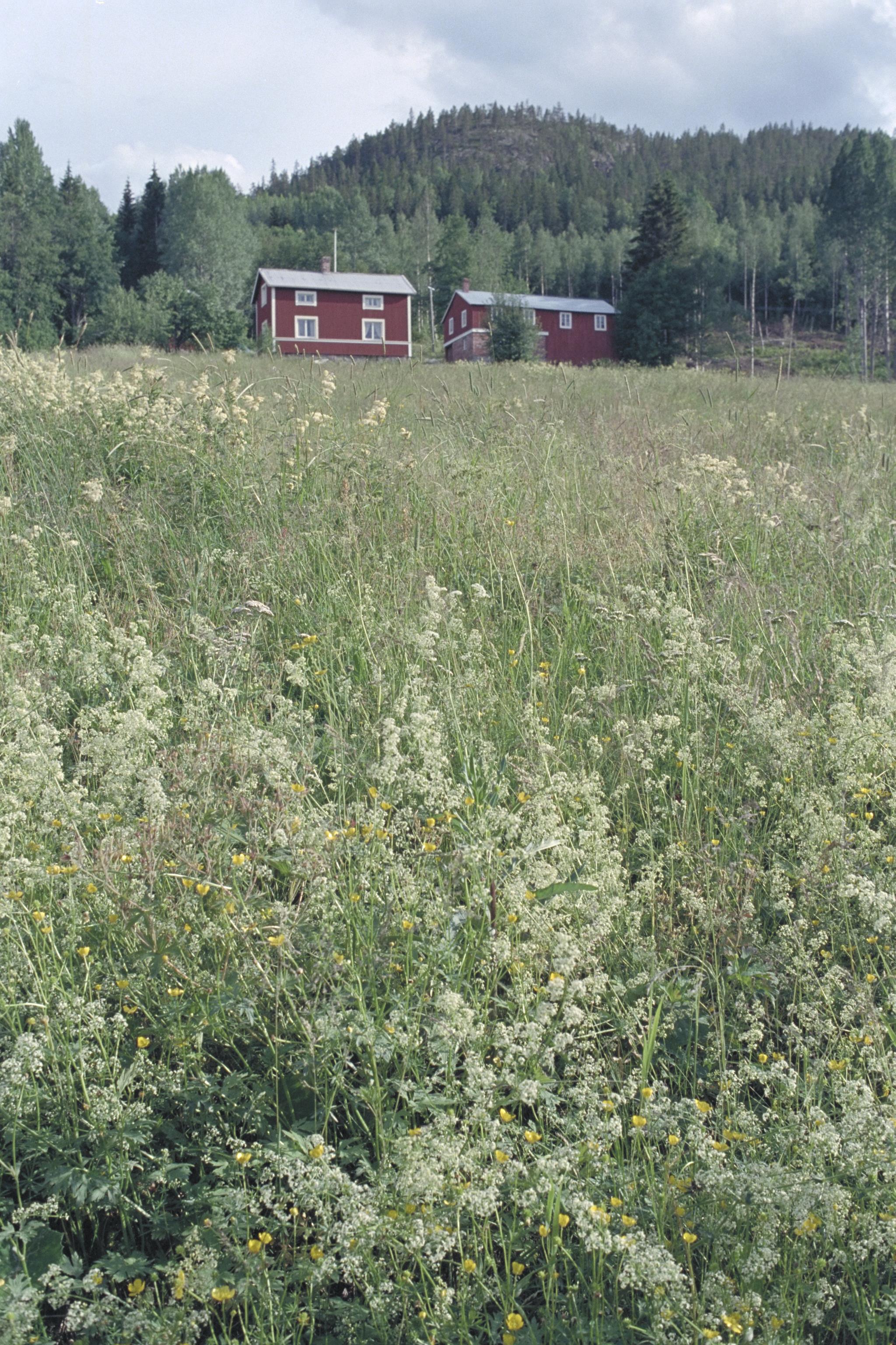 Bengt A Lundberg, Stensnäs