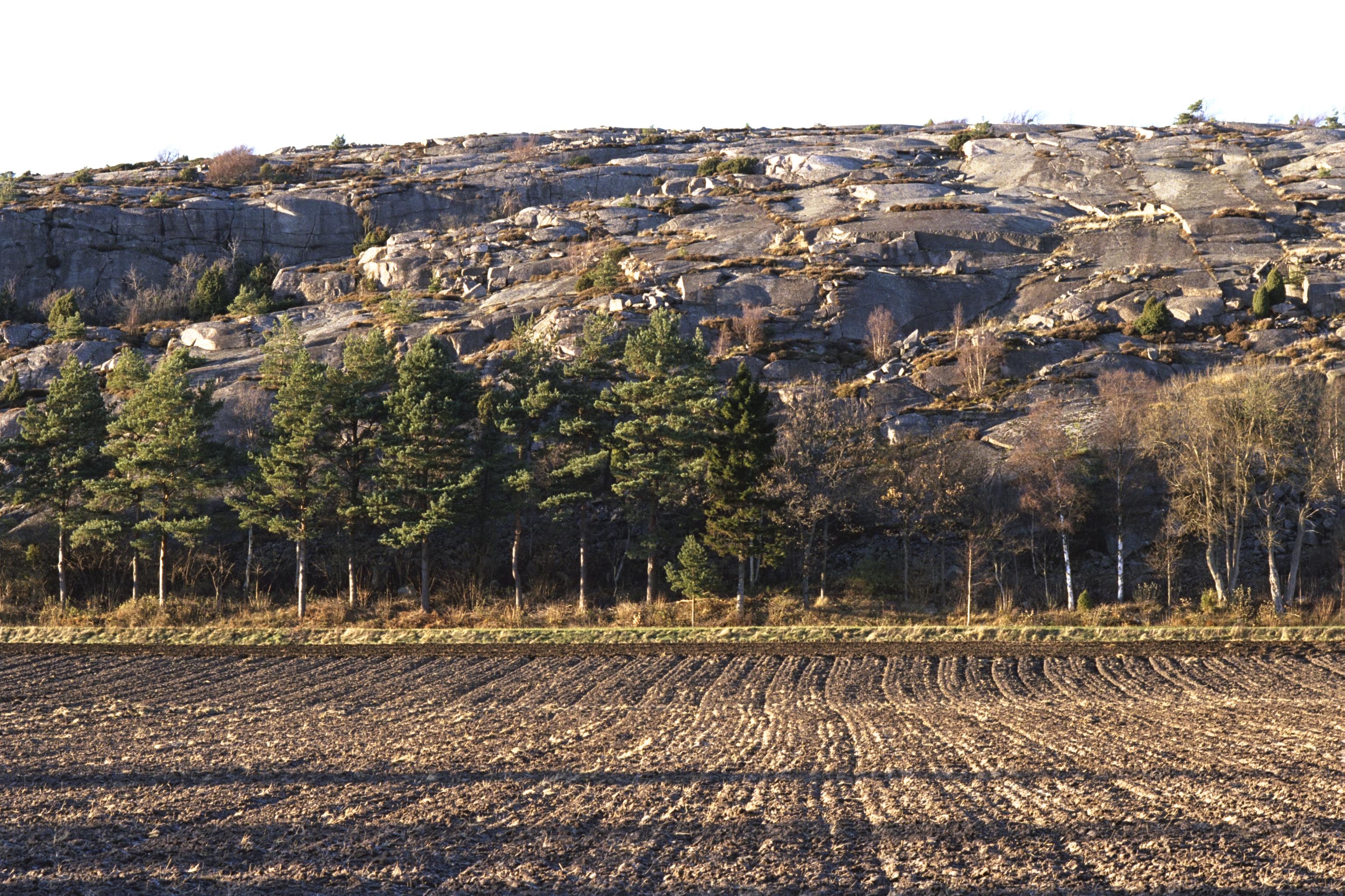Bengt A Lundberg, Tanum
