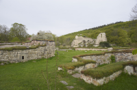 Image of Ög HedvallMenander473