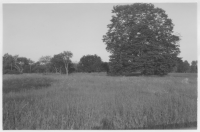 Öja socken, ängslandskap