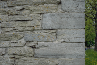 Sören Norbys källare