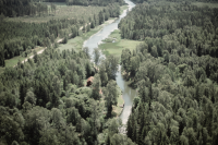 Skogstorp Kvarnsjön