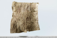 Image of Ög UVÖst2009:5;45