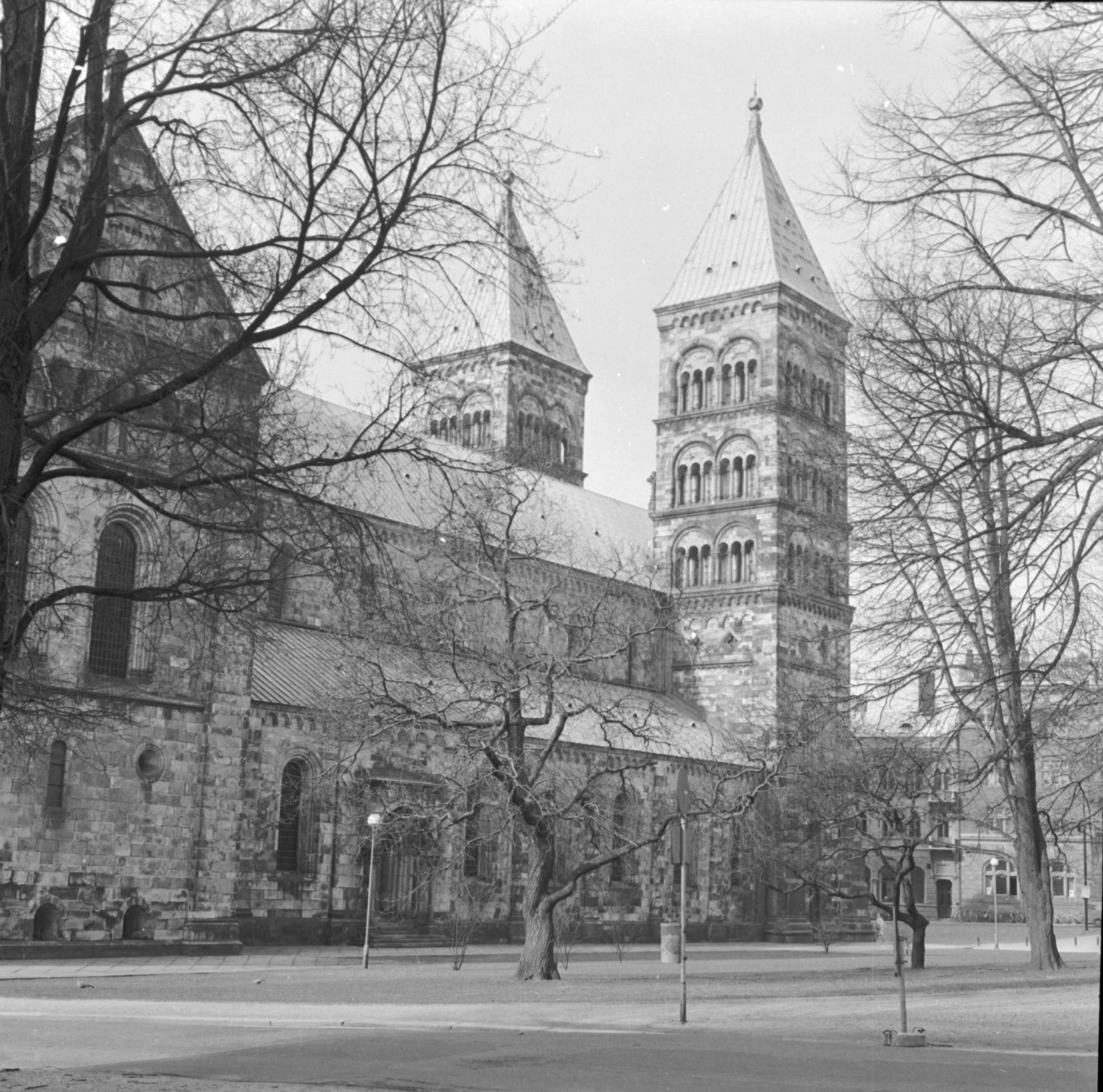 Sören Hallgren, Lunds Domkyrka