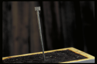 Image of DR EM85;469