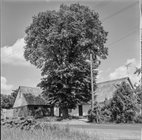 Silvåkra 9, gård 72