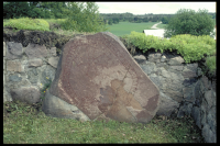 Image of Sö 335
