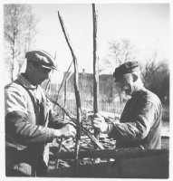 Lärbro lagning av gärdsgård