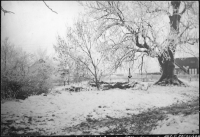 Kloster, Klosterkyrkogården
