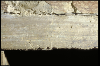 Image of Or Barnes20