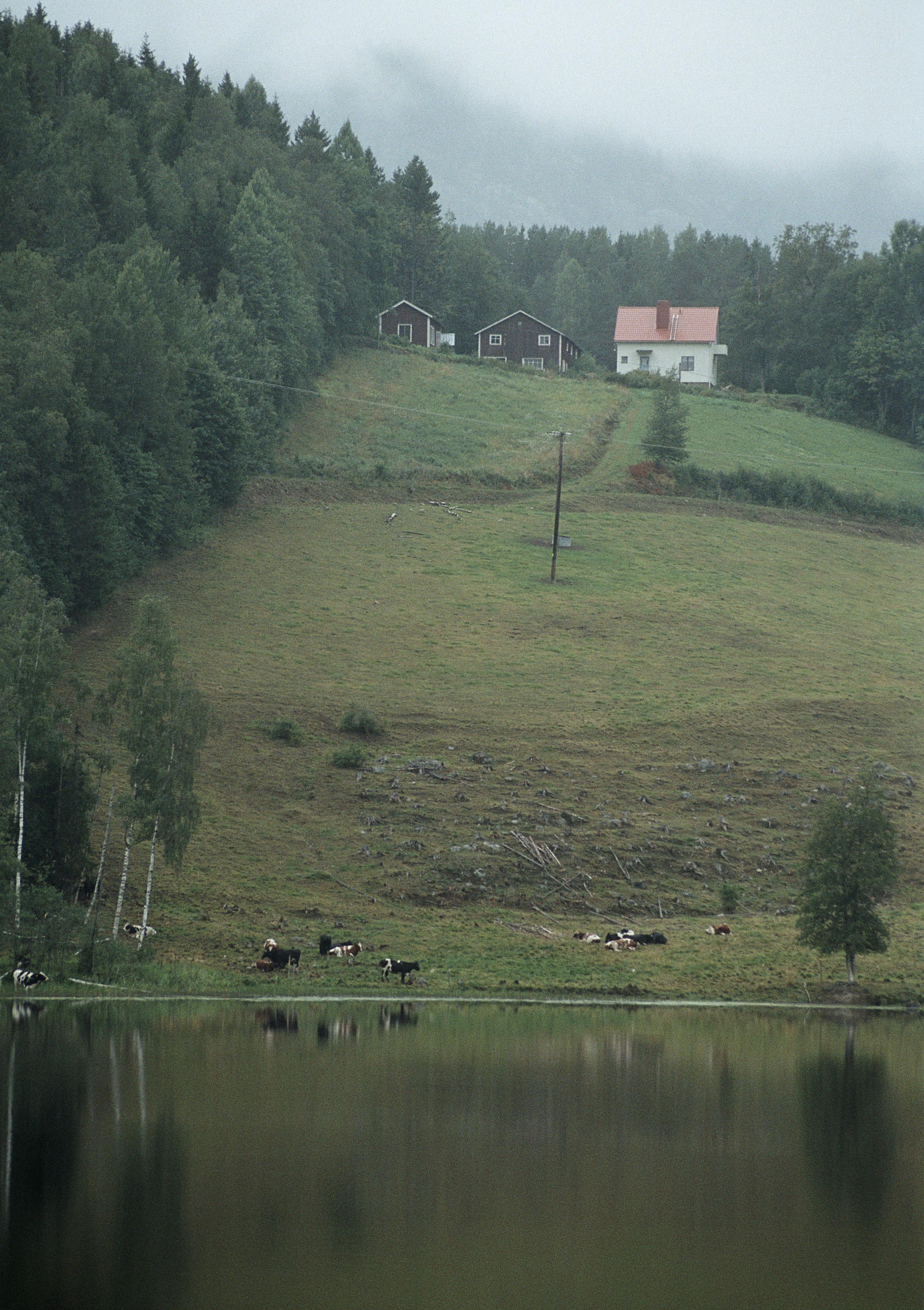 Bengt A Lundberg, Nordingrå