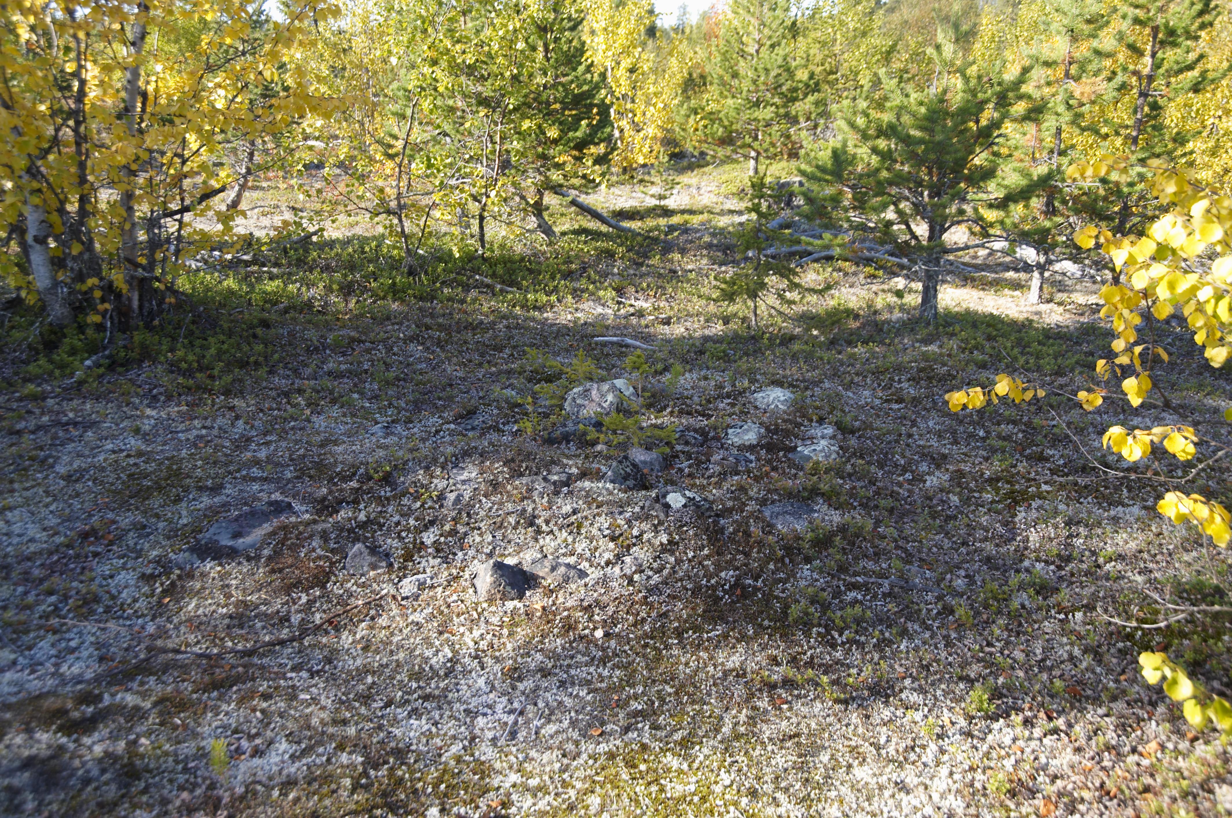 Bengt A Lundberg, Gällivare