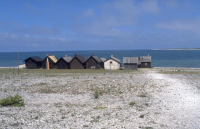 Helgumannens fiskeläge