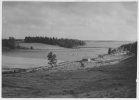 Vid norra stranden av Örsjön