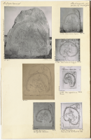 Böksta Prästängen. U 855.