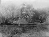 Gårdveda ödekyrkogård