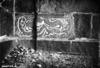 Image of Bo NIYR5;221A