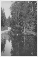 Vägen Gottåsa-Nöbbele