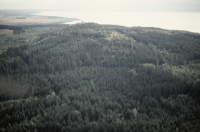 Västra Tollstad 17:1