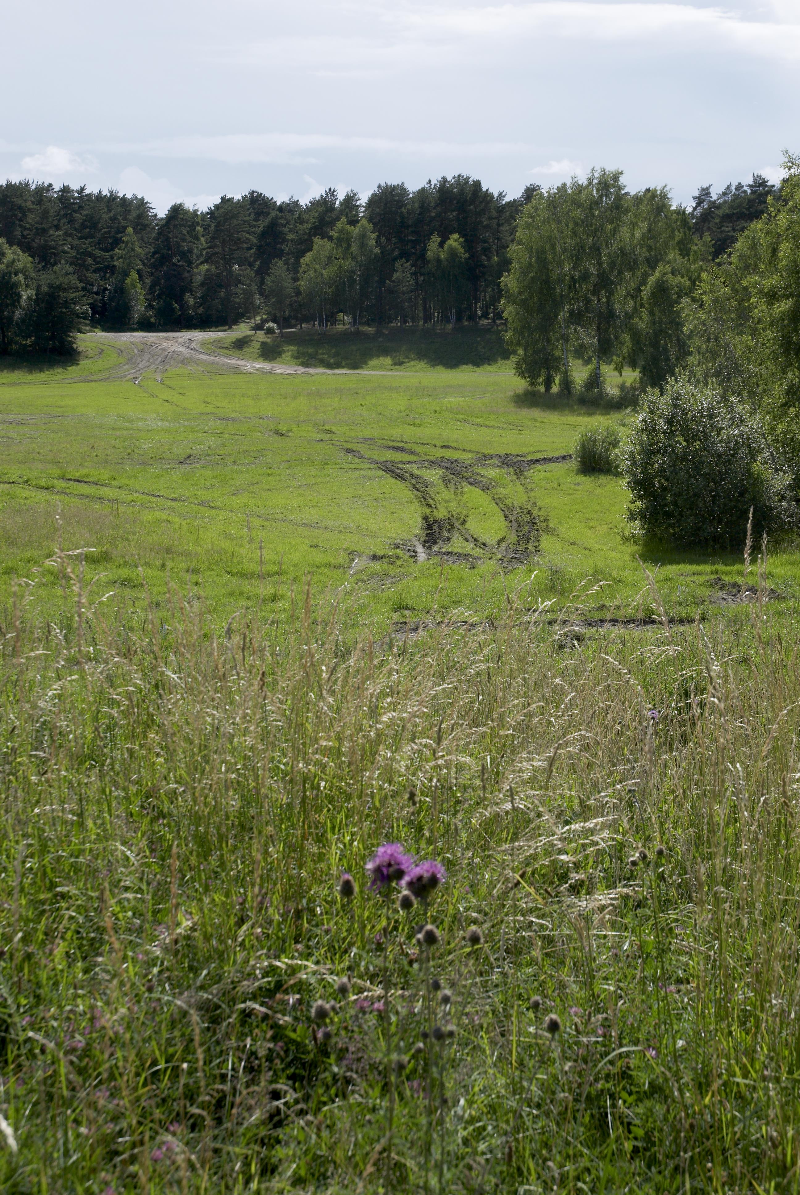 Bengt A Lundberg, Revingehed