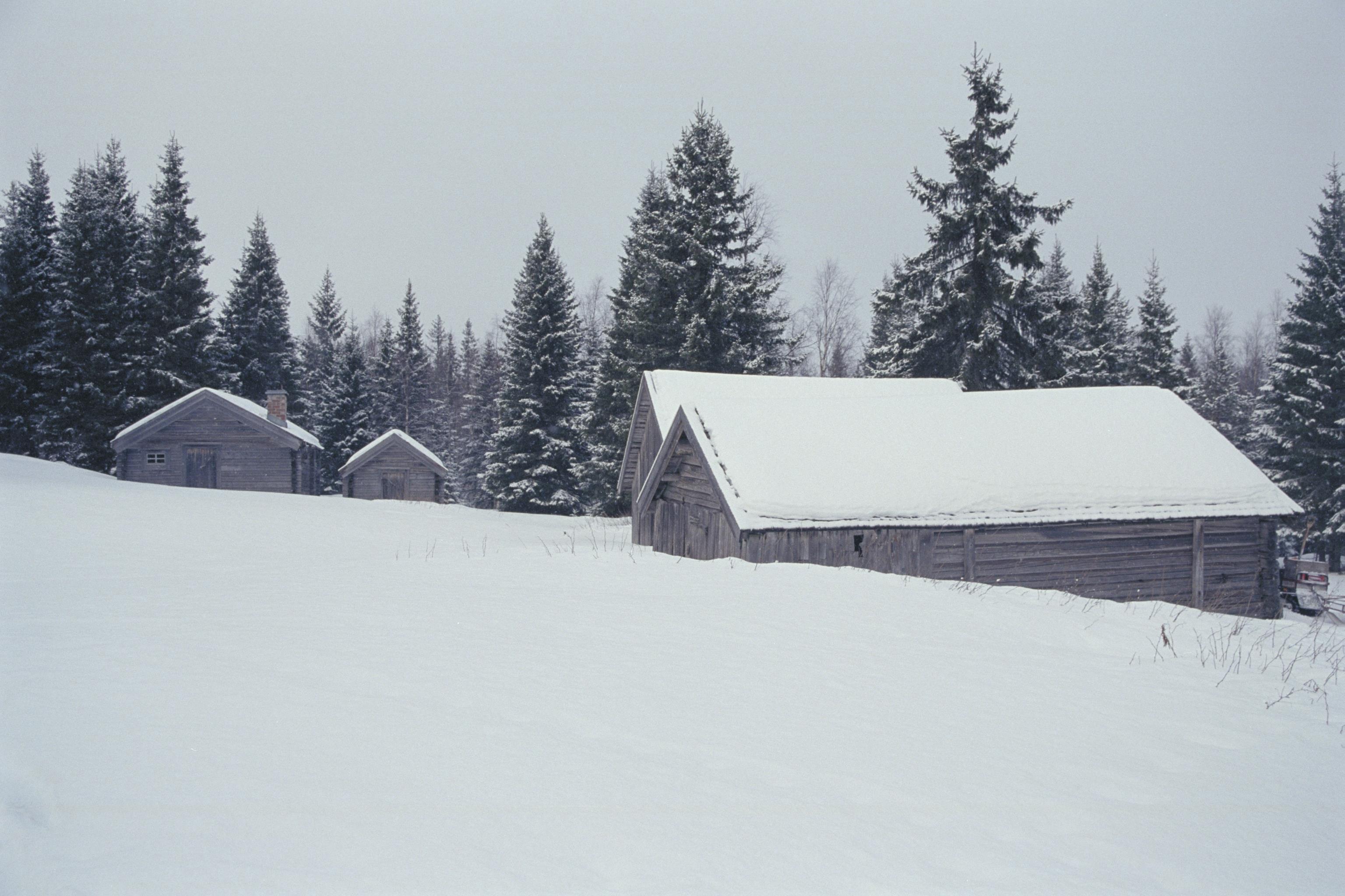 Bengt A Lundberg, Skuleskogens Nationalpark