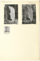 Lilla Svenstorp. Runsignum Vg 189