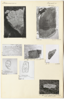 Överselö kyrka. Runsignum Sö 377, Sö 204, Sö 206, Sö 207 och Sö 208