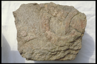 Image of Öl Köping3