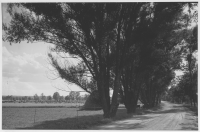 Lännäs socken, väg