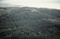 Västra Tollstad 17:1