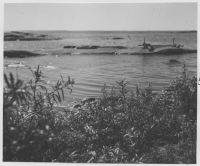 Mårtensboda, havtorn