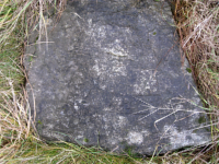 Image of Sö Fv1984;253
