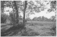 Åker bland gammal löväng vid sjön Undens östra strand
