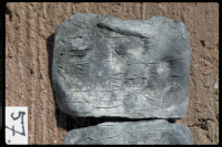 Image of D Fv1979;229