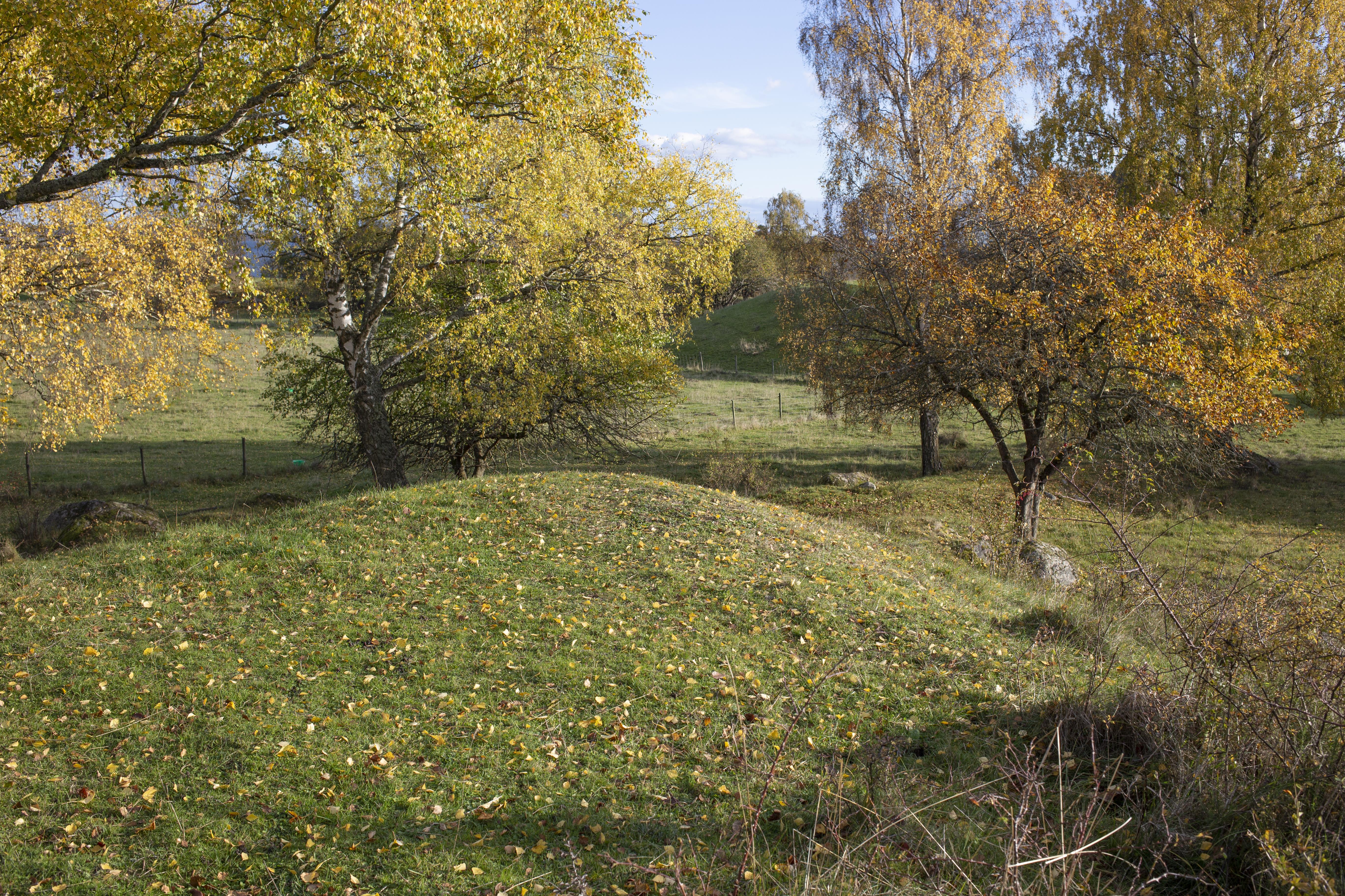 Leif Gren, Hovgården
