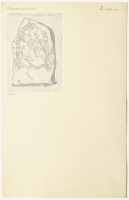 Aspa. Runsignum Sö 136