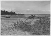 Bilskaten, strandlinje