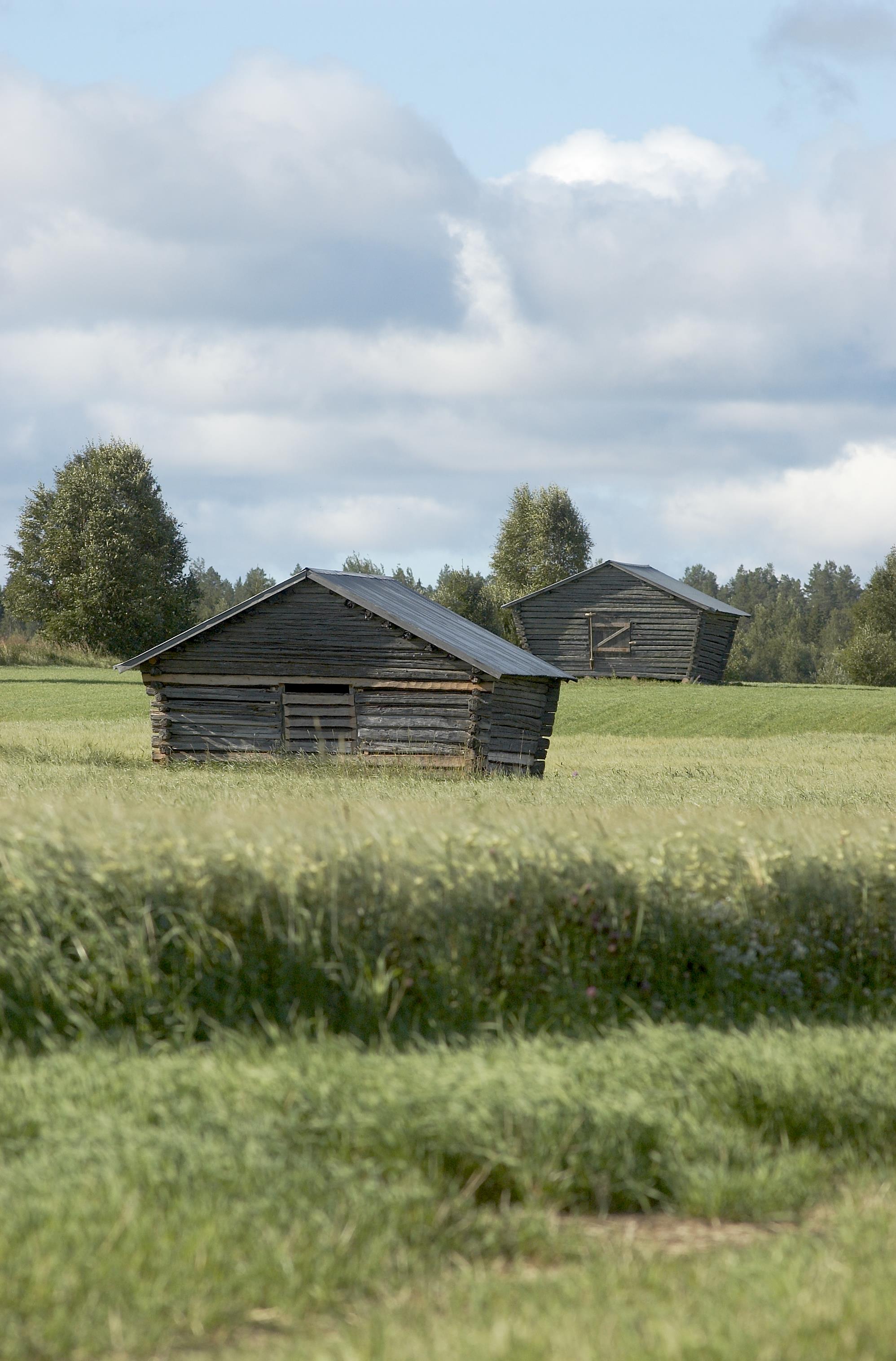 Bengt A Lundberg, Avan