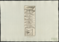 [Ryska fanor tagna vid slaget vid Narva år 1700].[Bild]