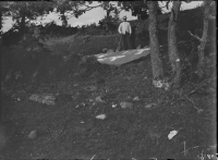 Frännarpsristningen